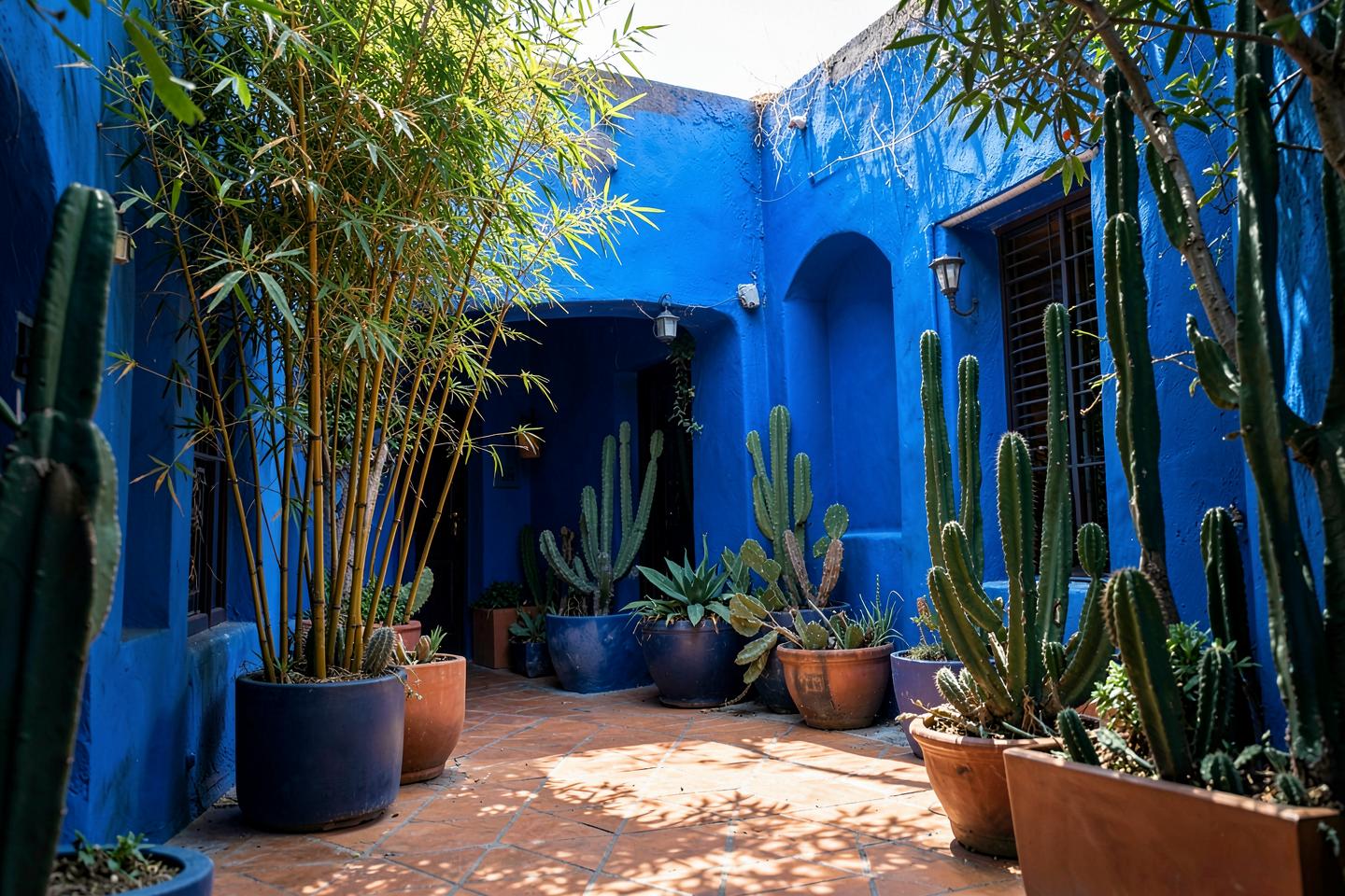 A Marrakech garden with cobalt blue walls, bamboo and cactus in terracotta pots